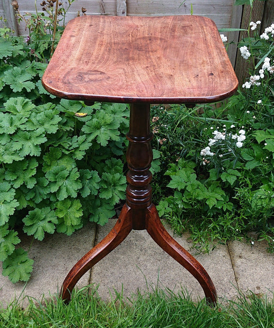 Eighteenth Century Wine Table