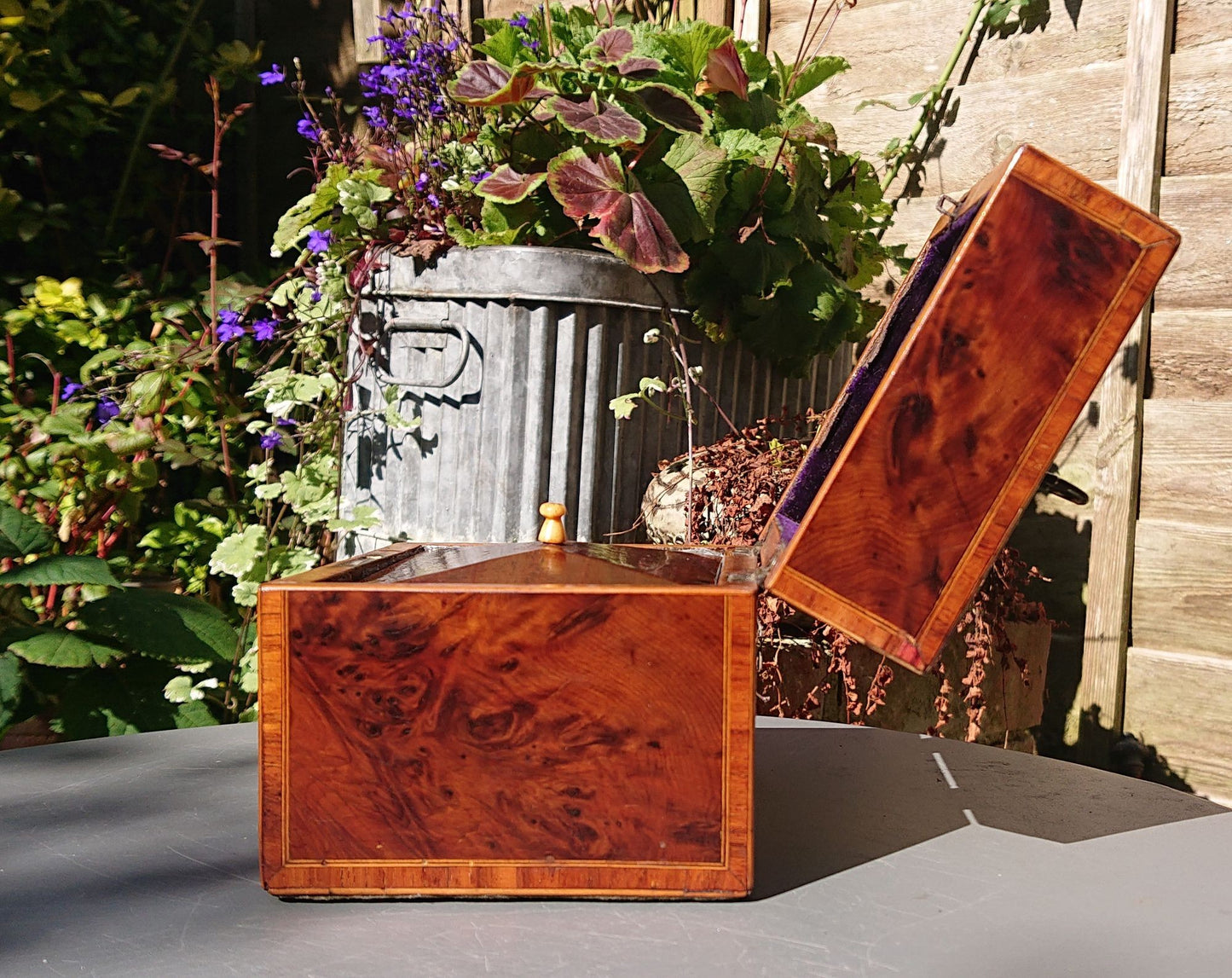 Burr Yew Tea Caddy