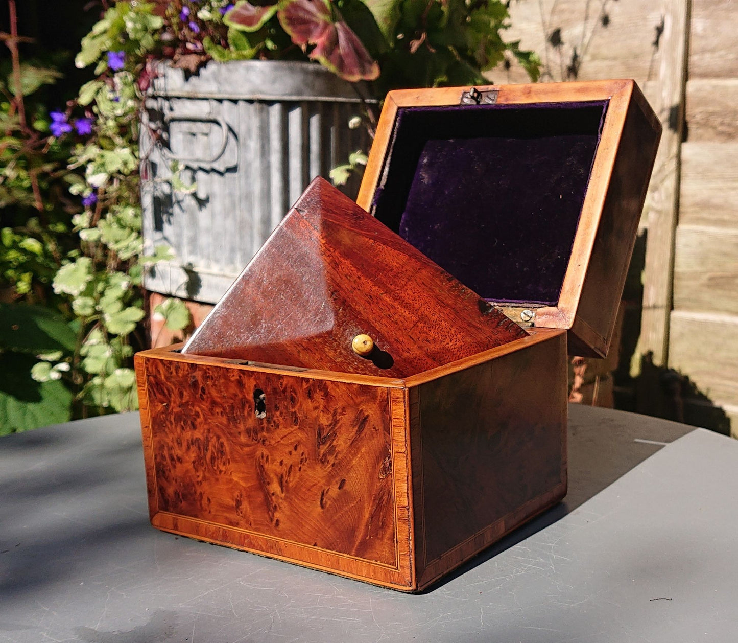 Burr Yew Tea Caddy