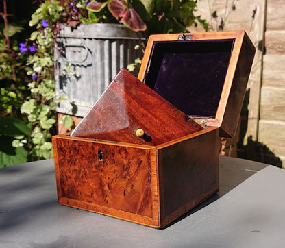 Burr Yew Tea Caddy