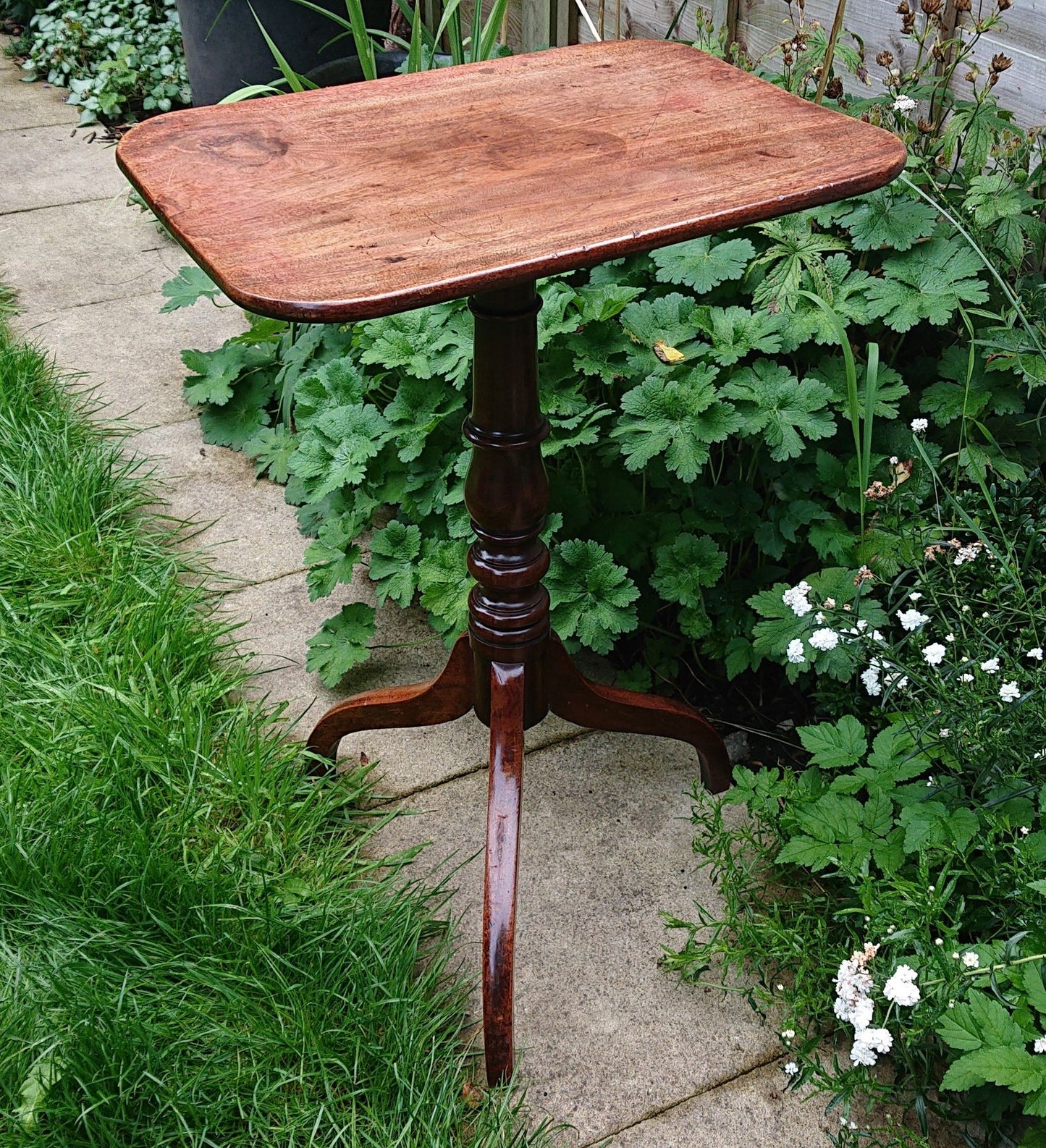 Eighteenth Century Wine Table