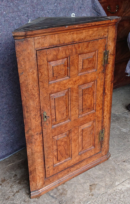 Mid 18th Century Burr Oak Corner Cupboard