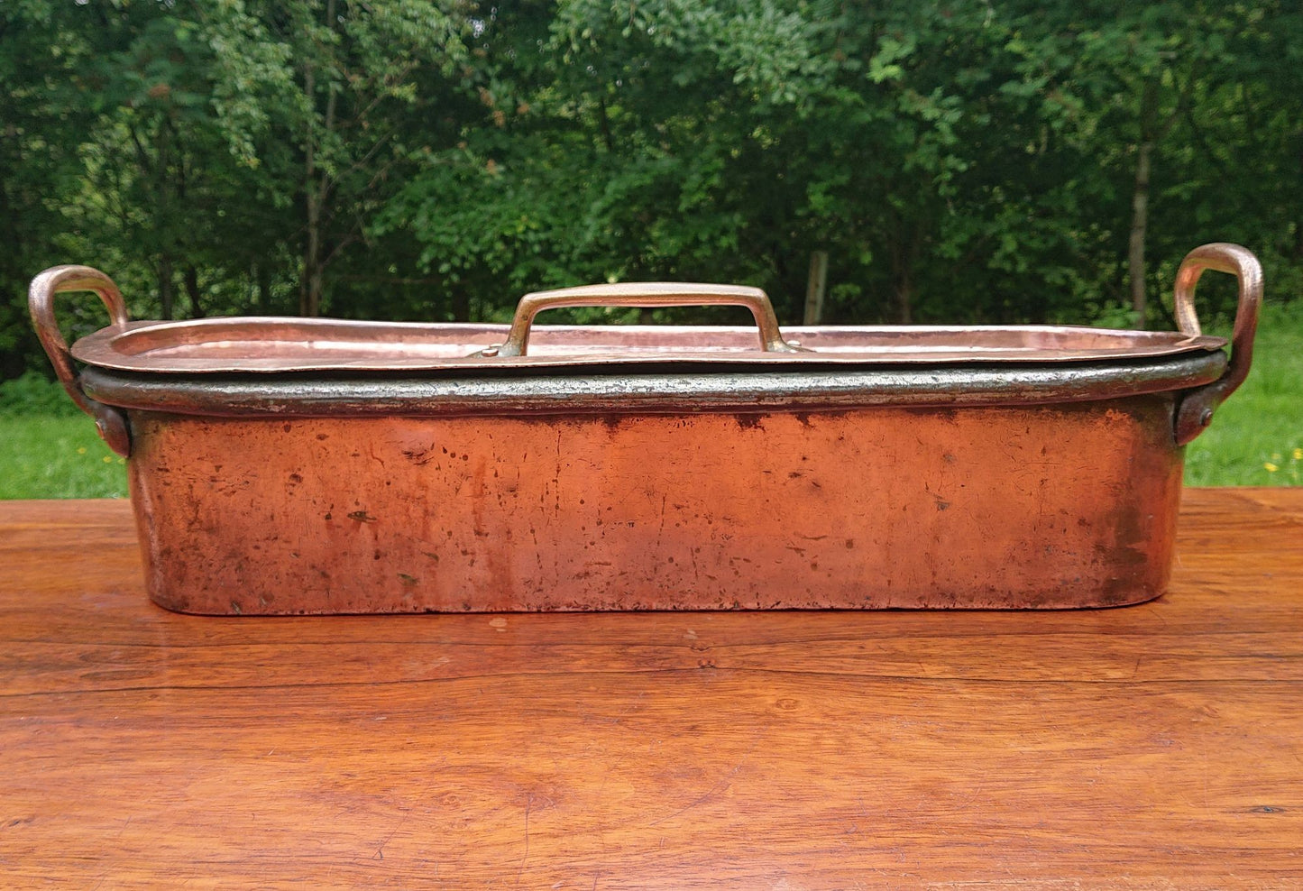 Antique Copper Fish Kettle