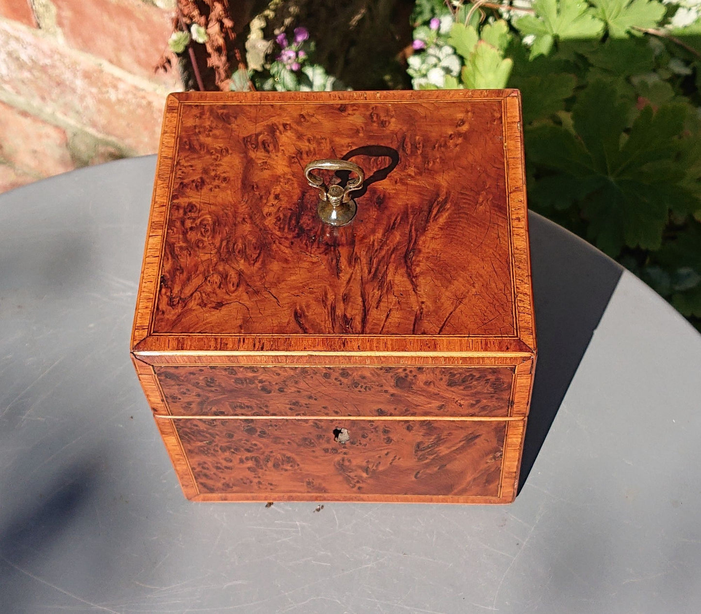 Burr Yew Tea Caddy