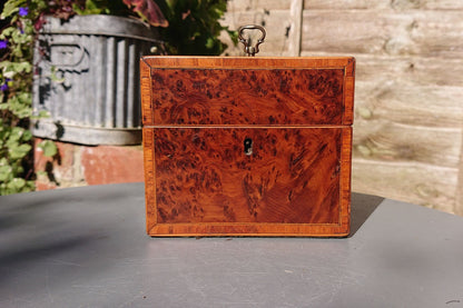 Burr Yew Tea Caddy