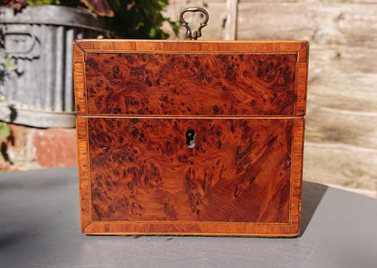 Burr Yew Tea Caddy