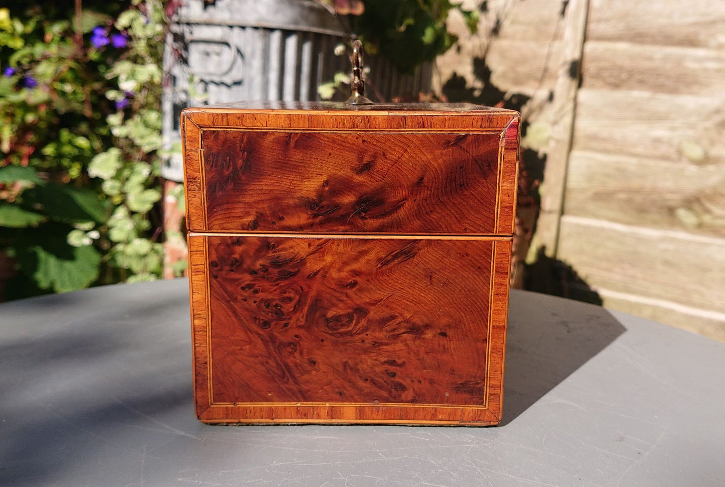 Burr Yew Tea Caddy