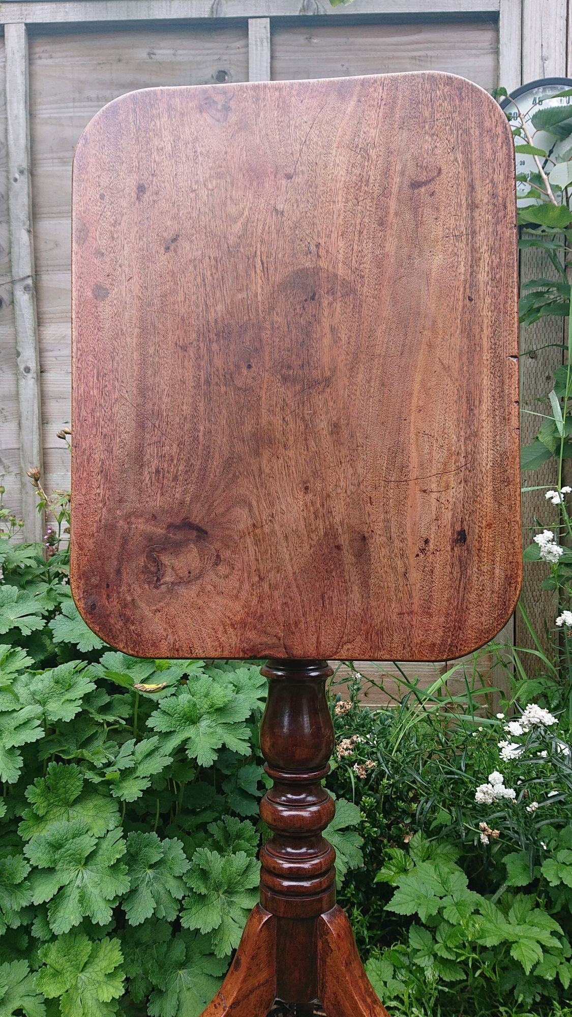 Eighteenth Century Wine Table