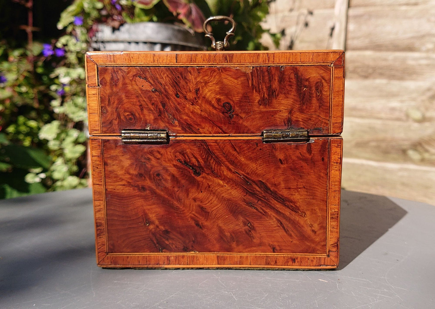 Burr Yew Tea Caddy