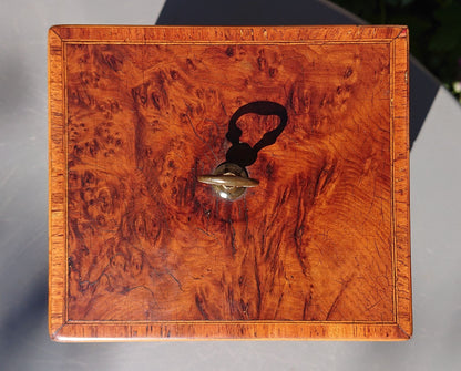 Burr Yew Tea Caddy